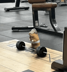 a hamster wearing headphones and a hat is lifting a barbell
