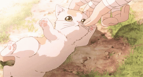 Anime Cat GIF  Anime Cat  Discover  Share GIFs
