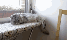 Gato Cat GIF - Gato Cat Sleeping GIFs