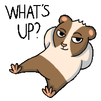 Guineapig Michenious Sticker - Guineapig Michenious Cute Stickers