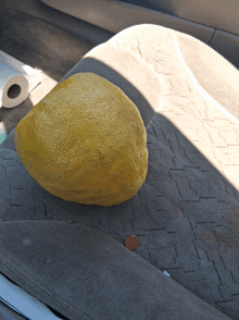a lemon sits on a car seat with a penny next to it