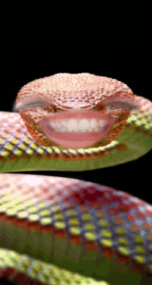 Smile Serpent GIF - Smile Serpent Bad GIFs