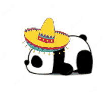 Panda Mexicano GIF - Panda Mexicano GIFs