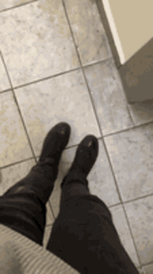 Staslonxd GIF