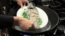 Steamed Fish GIF - Steamed Fish Seafood GIFs