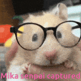 Mika-senpai Hamster GIF - Mika-senpai Mika Hamster GIFs