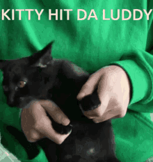 Cat Cute Cat GIF - Cat Cute Cat Cat Dancing GIFs