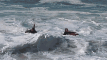 Surfing With You Surfing With My Buddy GIF - Surfing With You Surfing With My Buddy Having Fun At The Beach GIFs