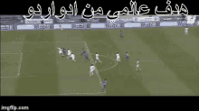 هدف عالمي من ادواردوا الهلال الدوري السعودي GIF - Eduardo Saudi Soccer Al Hilall GIFs