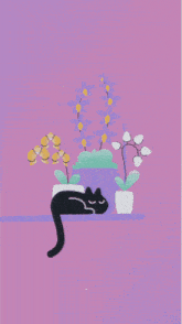 a black cat laying on a shelf next to potted flowers