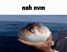 Nah Nvm Fish GIF - Nah Nvm Fish Fishing GIFs