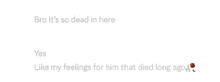 a screenshot of a text that says bro it 's so dead in here