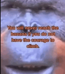 you will never reach the banana if you do not have the courage to climb