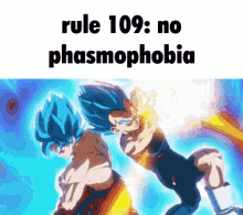 Rule109 Dbz Rules GIF
