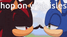 shadow the hedgehog and sonic the hedgehog are looking at each other