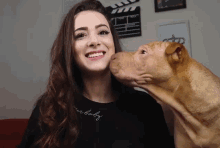 Cachorro Carinho GIF - Cachorro Carinho Beijo GIFs
