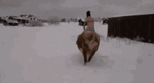Cowgirl Riding Cow In Snow GIF - Cow Girl Snow Winter GIFs
