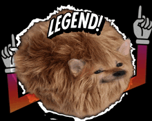 tribble nafo