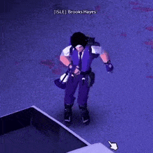 a video game character with the name brooks hayes