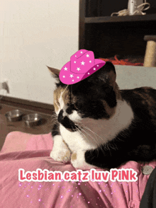 a cat wearing a pink cowboy hat with the words lesbian catz luv pink