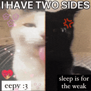 a black and white cat with the words 