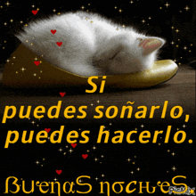 a picture of a cat sleeping in a yellow shoe