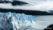 viralhog glacier calving iceberg break away