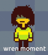 a pixel art drawing of a girl with the words wren moment below it