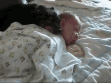 Nap Buddies GIF - Dog Baby Nap GIFs