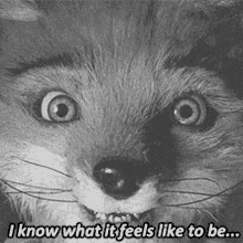 a black and white photo of a fox with the words " i know what it feels like to be "