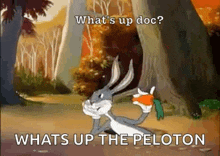 Whats Up Doc Bugs Bunny GIF - Whats Up Doc Bugs Bunny Rabbit GIFs