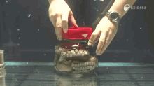 An Octopus Unscrewing A Lid From The Inside. GIF - Octopus Inside A Jar Unscrewinglid GIFs