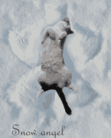 Snow Angel GIF