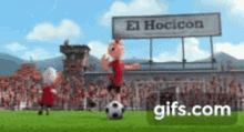 Soccer Humiliating GIF - Soccer Humiliating Football GIFs