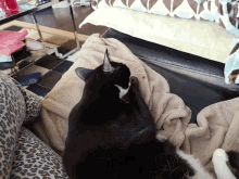 a black and white cat is laying on a blanket