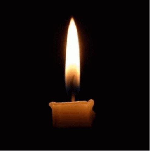 Candle Burning Candle GIF – Candle Burning Candle Tribute – GIFs