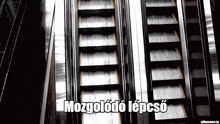 a black and white photo of a set of escalators with a caption that says mozgolodo lepcio