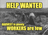 a poster that says help wanted harvest is plenty workers are few on it