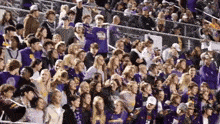 Lhhs Student Section Liberty Hill GIF