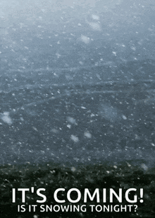 Winter Is Here Snow Storm GIF - Winter Is Here Snow Storm Blizzard GIFs