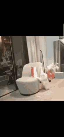 Cats Spin GIF - Cats Spin Playtime GIFs