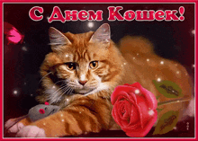 a cat is laying next to a red rose and a mouse on a greeting card