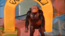 a chimpanzee standing in front of a yellow archway