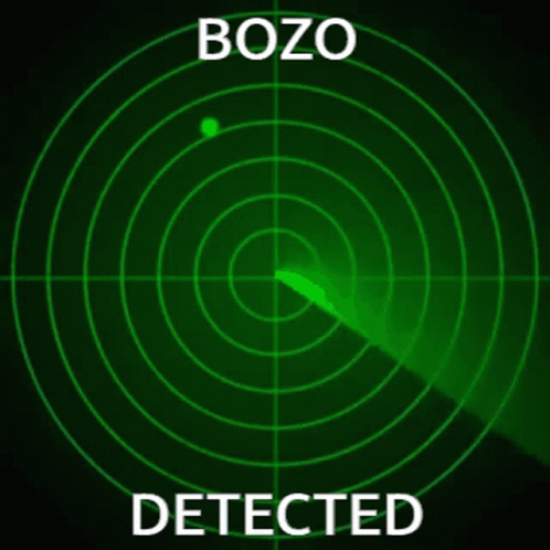 bozo-detected.gif