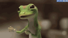 Geico Gecko GIF - Geico Gecko Wince GIFs