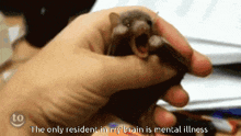 a person holding a bat with the words " the only resident in my brain is mental illness " next to it