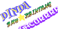 a purple and yellow logo that says dinda