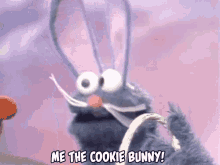 Cookie Bunny GIF