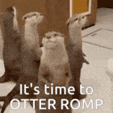 three otters standing next to each other with the words " it 's time to otter romp " written on the bottom