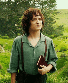 Frodo Hobbit GIF - Frodo Hobbit Lord GIFs